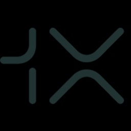 1X logo