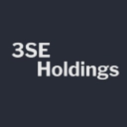 3SE Holdings logo