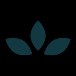 Adonis logo