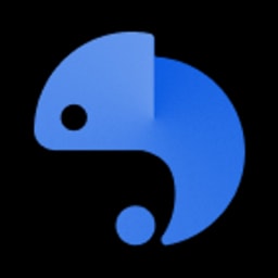 Anyformat logo