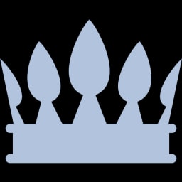 Astor Perkins logo