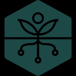 Avalo logo