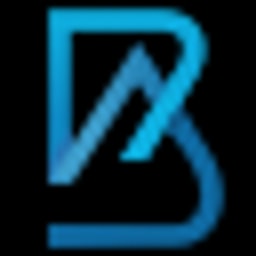 BAce Capital logo