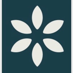 Belong Health logo