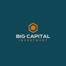 BIG Capital logo