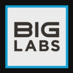 BIG Labs logo