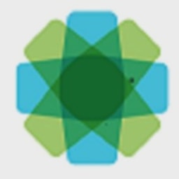 BIP Capital logo