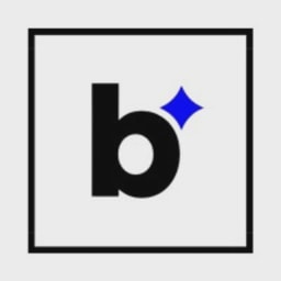 Bleach Cyber logo