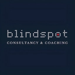 Blindspot Inc logo