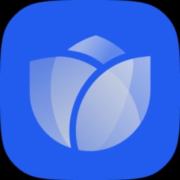 Bloom logo