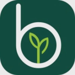 Blossm logo
