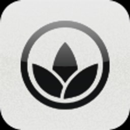 Blossom logo