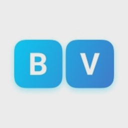 Blue Vision logo