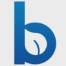 Blueleaf.com logo