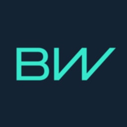 BorgWarner logo