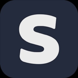 Brace.ai logo