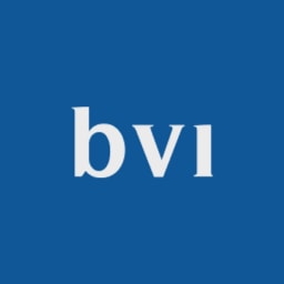BRI Ventures logo