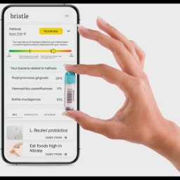 Bristle logo