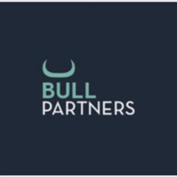 Bull Partners logo