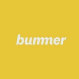 Bummer logo