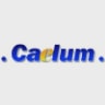 Caelum logo