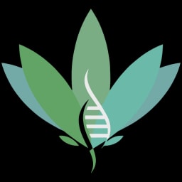 Cannect logo
