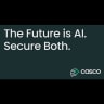 Casco logo