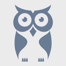 CyberOwl logo