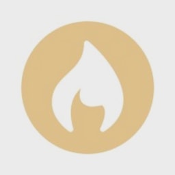Dashfire logo