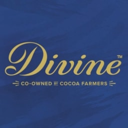 Divine logo