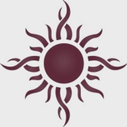 DNS Capital logo