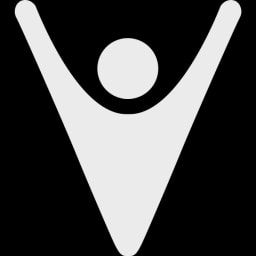 Fanvibe logo