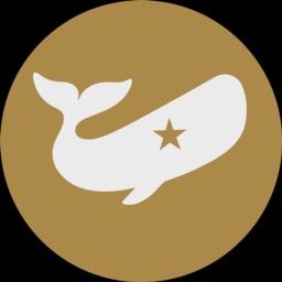 Fellow Health logo