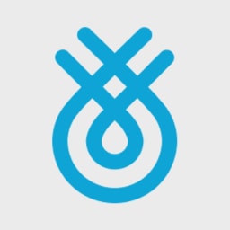 Flinks logo