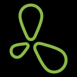 Green Onyx logo