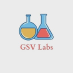 GSVlabs logo