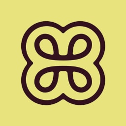 Heidi Health logo