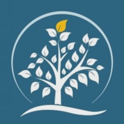 Hemostod logo