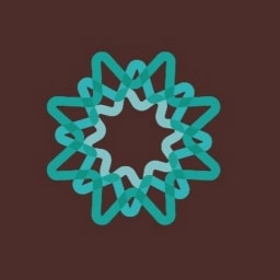 IDF CAPITAL logo