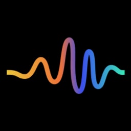 Immerse logo