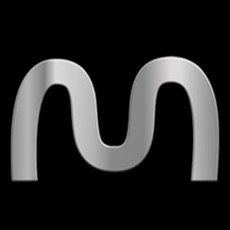 INBRACE logo
