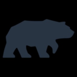 IrieVC logo