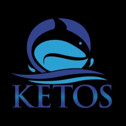 KETOS logo