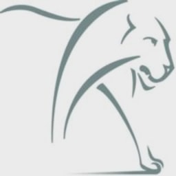 Lion Capital logo