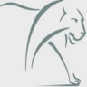 Lion Capital logo
