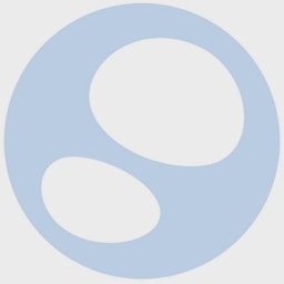 Lykon logo