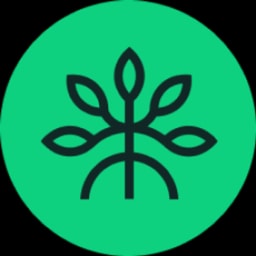 Mangrove DAO logo
