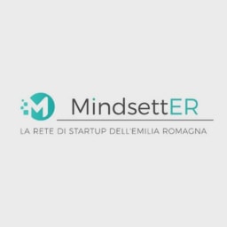 MindsettER logo
