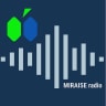 MIRAISE logo