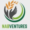 NABVENTURES logo